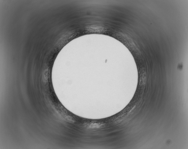 X0000116880647201002021149