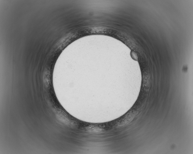X0000116880648201002021149