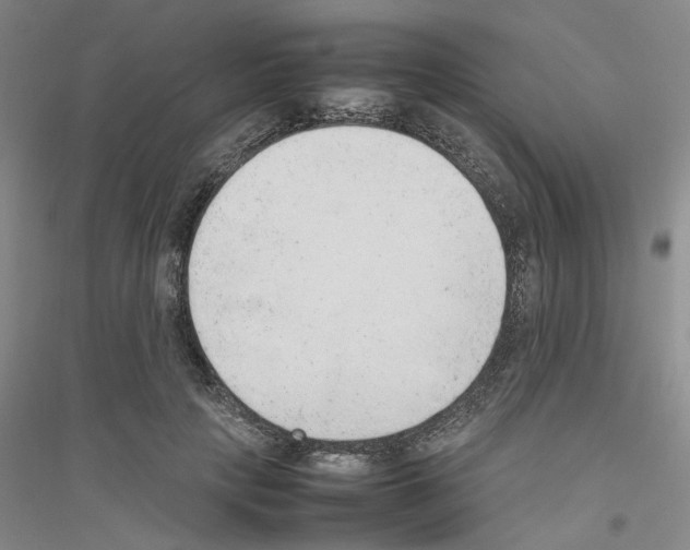 X0000116880649201002021149