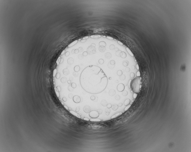 X0000116880650201002021149