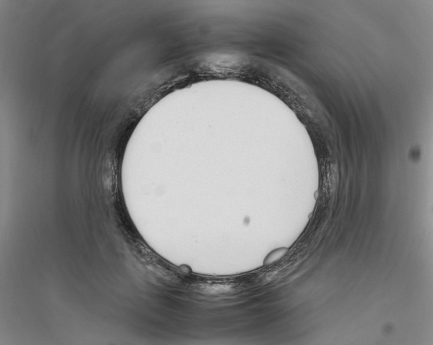 X0000116880651201002021149