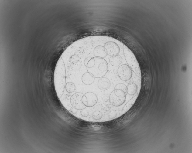 X0000116880654201002021149