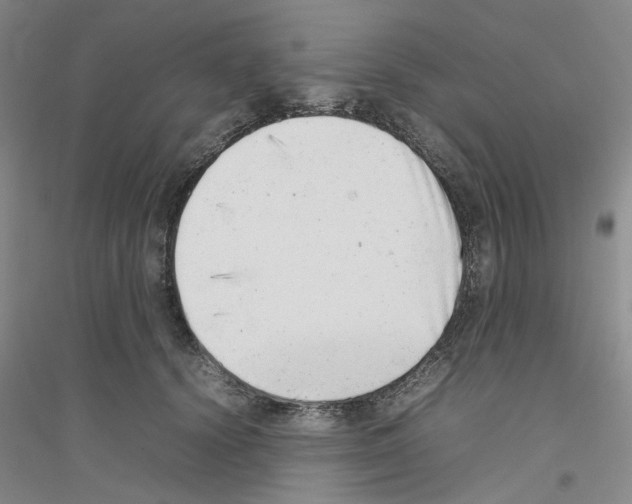 X0000116880656201002021149