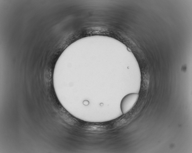X0000116880657201002021149