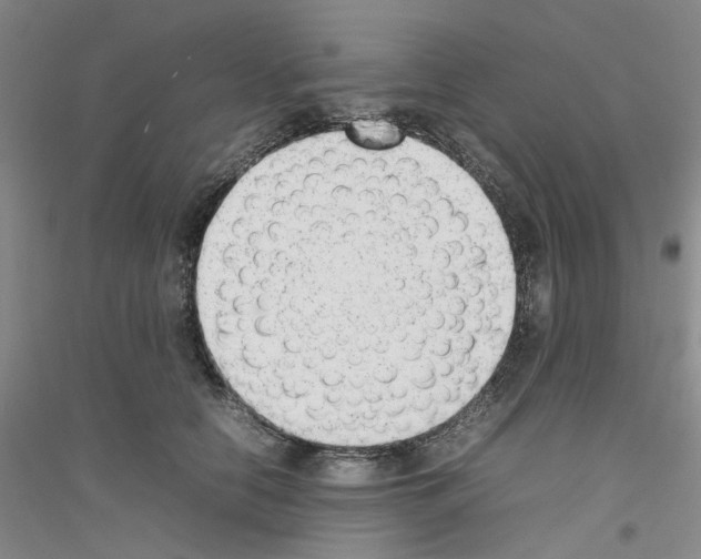 X0000116880658201002021149
