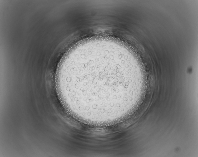 X0000116880659201002021149