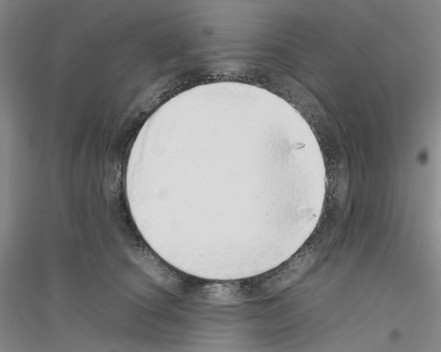 X0000116880660201002021149
