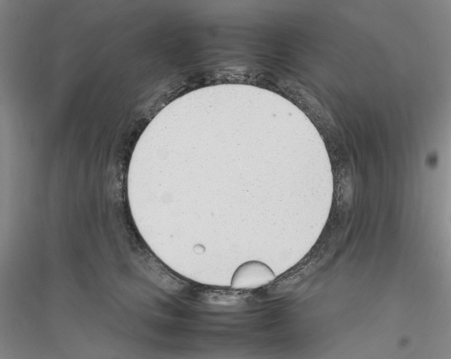X0000116880661201002021149