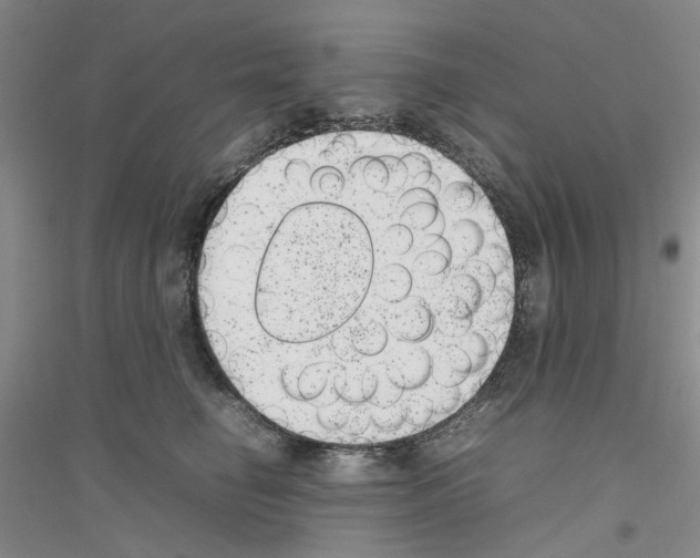 X0000116880662201002021149