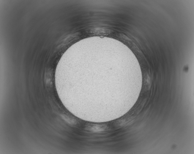 X0000116880663201002021149