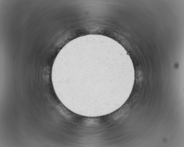 X0000116880664201002021149
