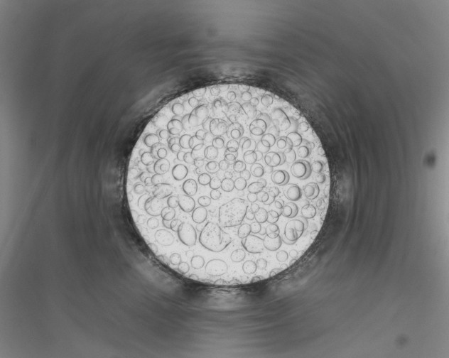 X0000116880666201002021149