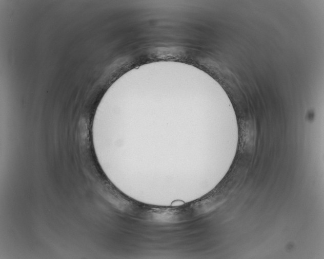 X0000116880667201002021149