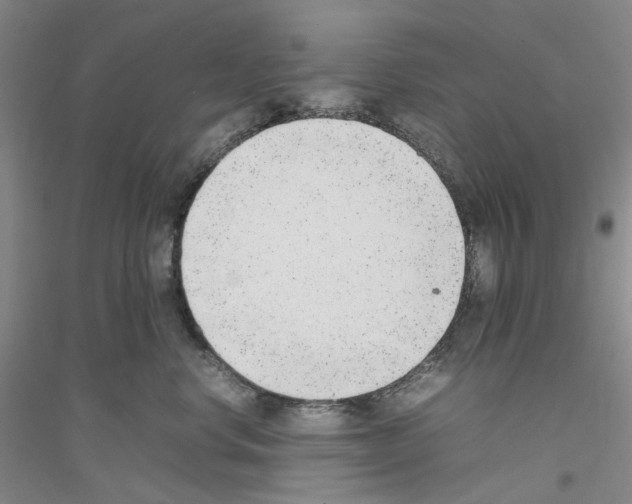 X0000116880668201002021149