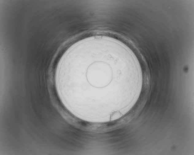 X0000116880670201002021149