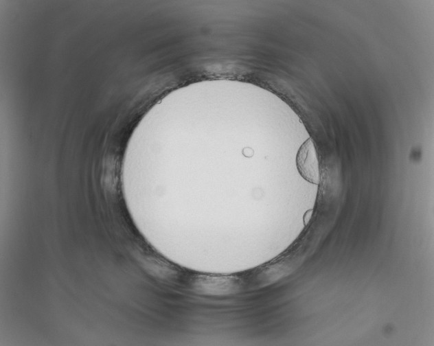 X0000116880671201002021149