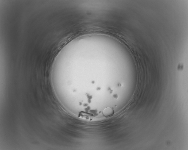 X0000116880672201002021149