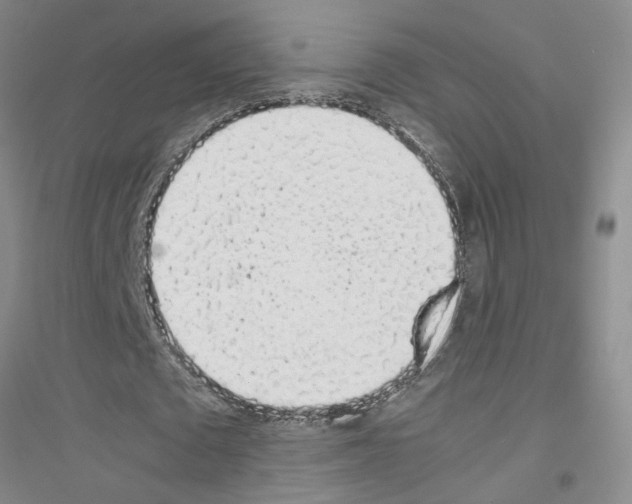 X0000116880673201002021149