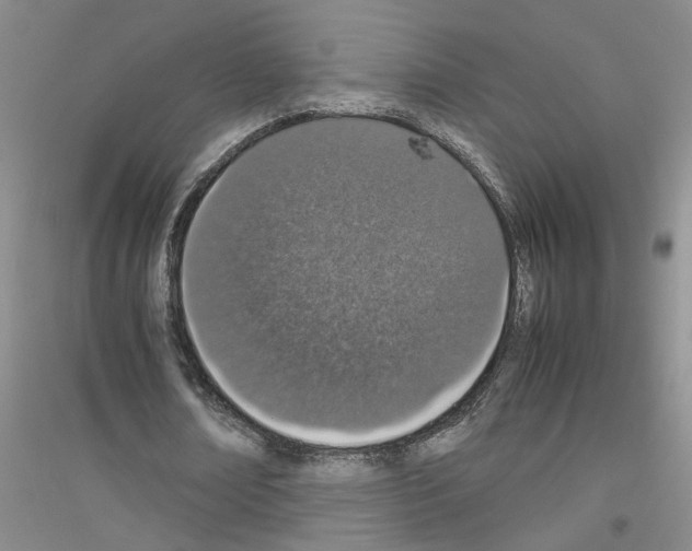 X0000116880674201002021149