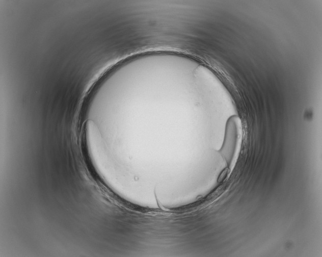 X0000116880676201002021149