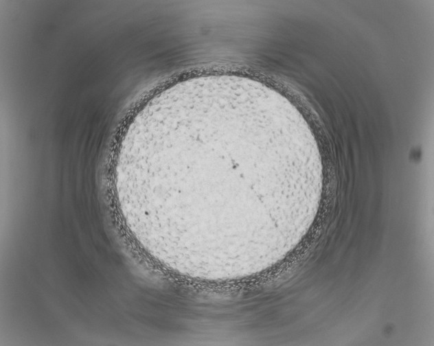 X0000116880677201002021149