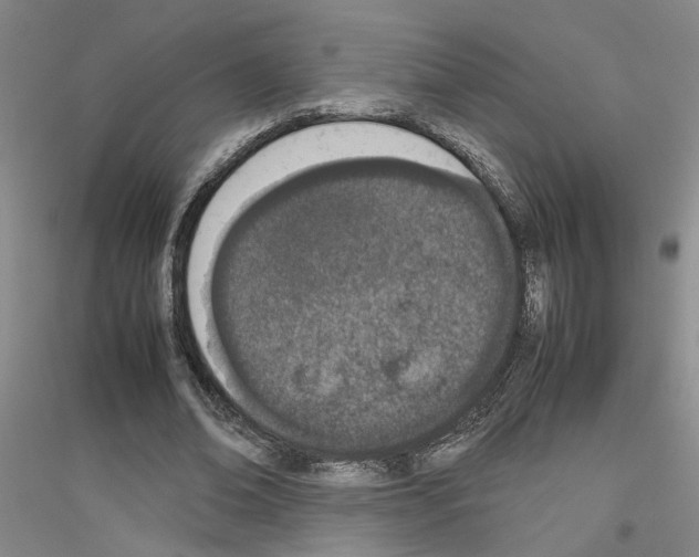 X0000116880678201002021149