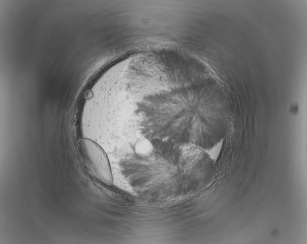 X0000116880679201002021149