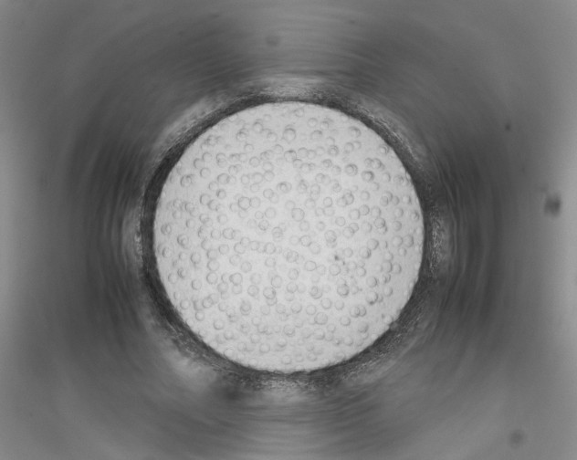X0000116880682201002021149