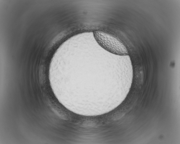 X0000116880684201002021148