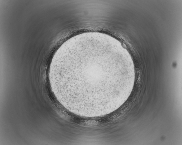 X0000116880685201002021148