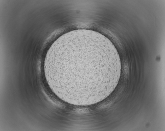 X0000116880686201002021148