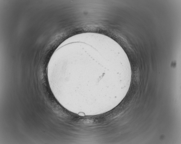 X0000116880687201002021148