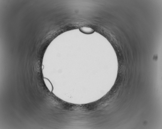 X0000116880689201002021148