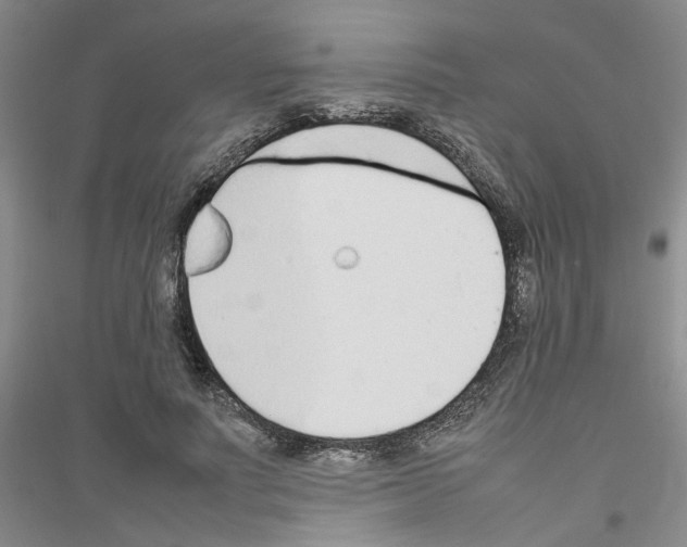 X0000116880691201002021148