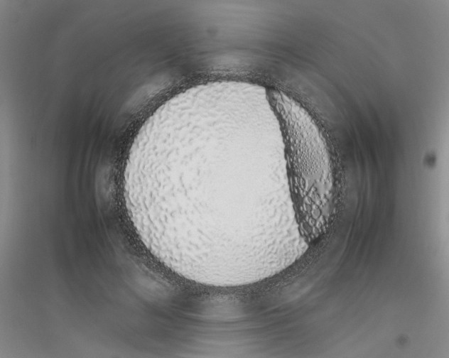 X0000116880692201002021148