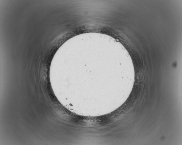 X0000116880693201002021148
