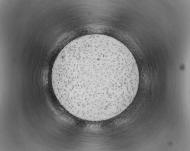X0000116880694201002021148