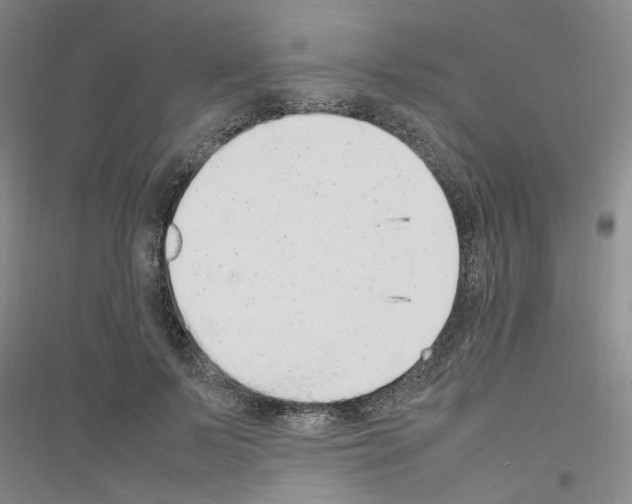 X0000116880695201002021148