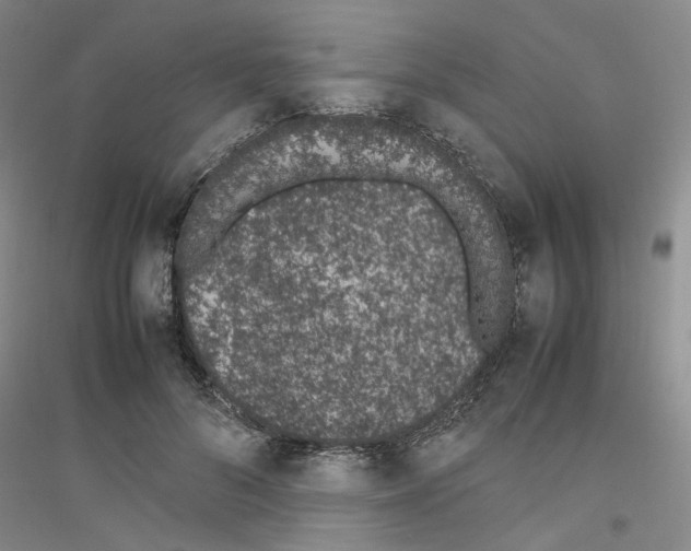 X0000116880696201002021148