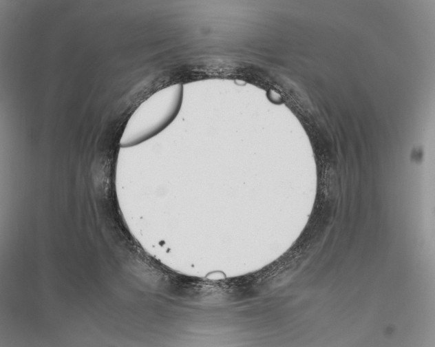 X0000116880697201002021148