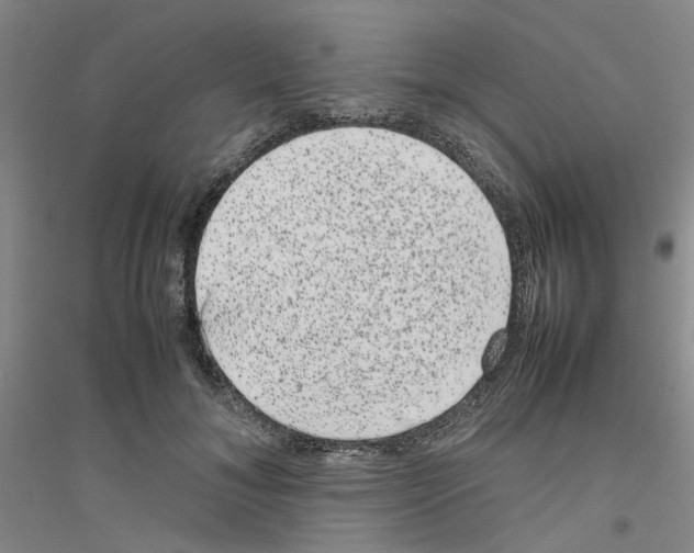 X0000116880700201002021148