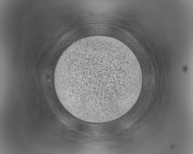 X0000116880701201002021148