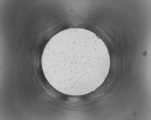 X0000116880703201002021148