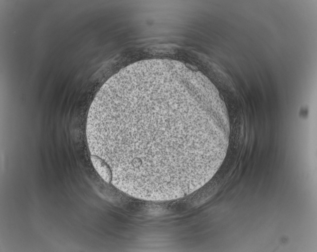 X0000116880704201002021148