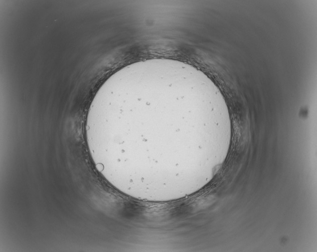 X0000116880705201002021148