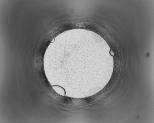 X0000116880707201002021148