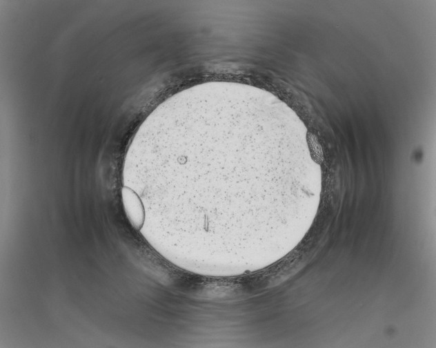 X0000116880708201002021148