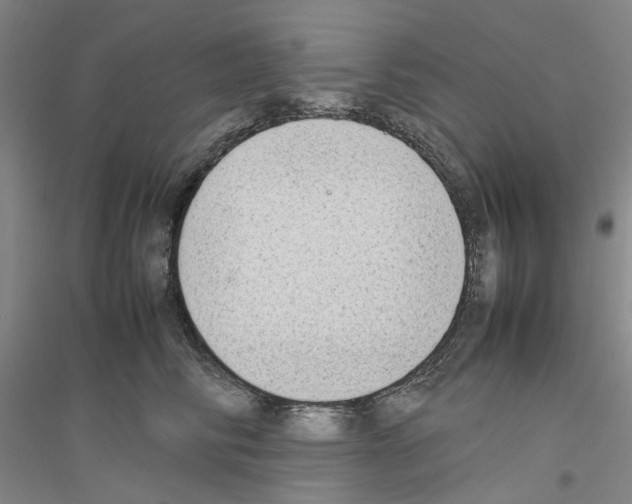 X0000116880710201002021148