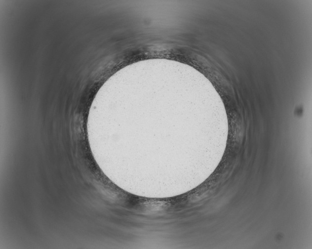 X0000116880711201002021148