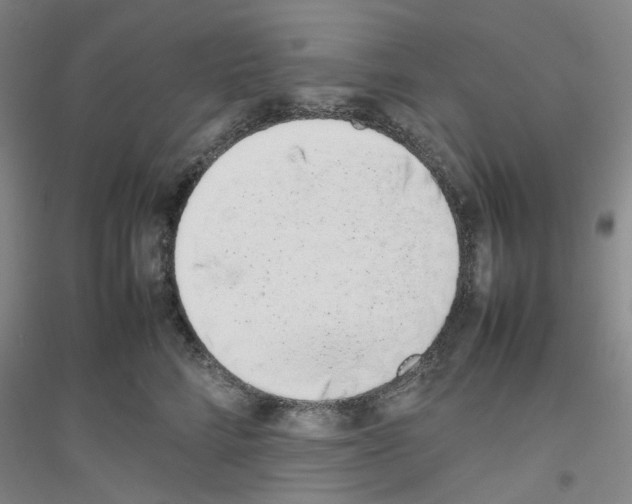X0000116880712201002021148